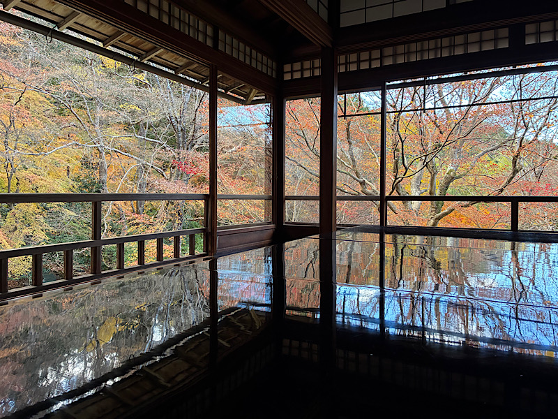 テーブルに反射する紅葉