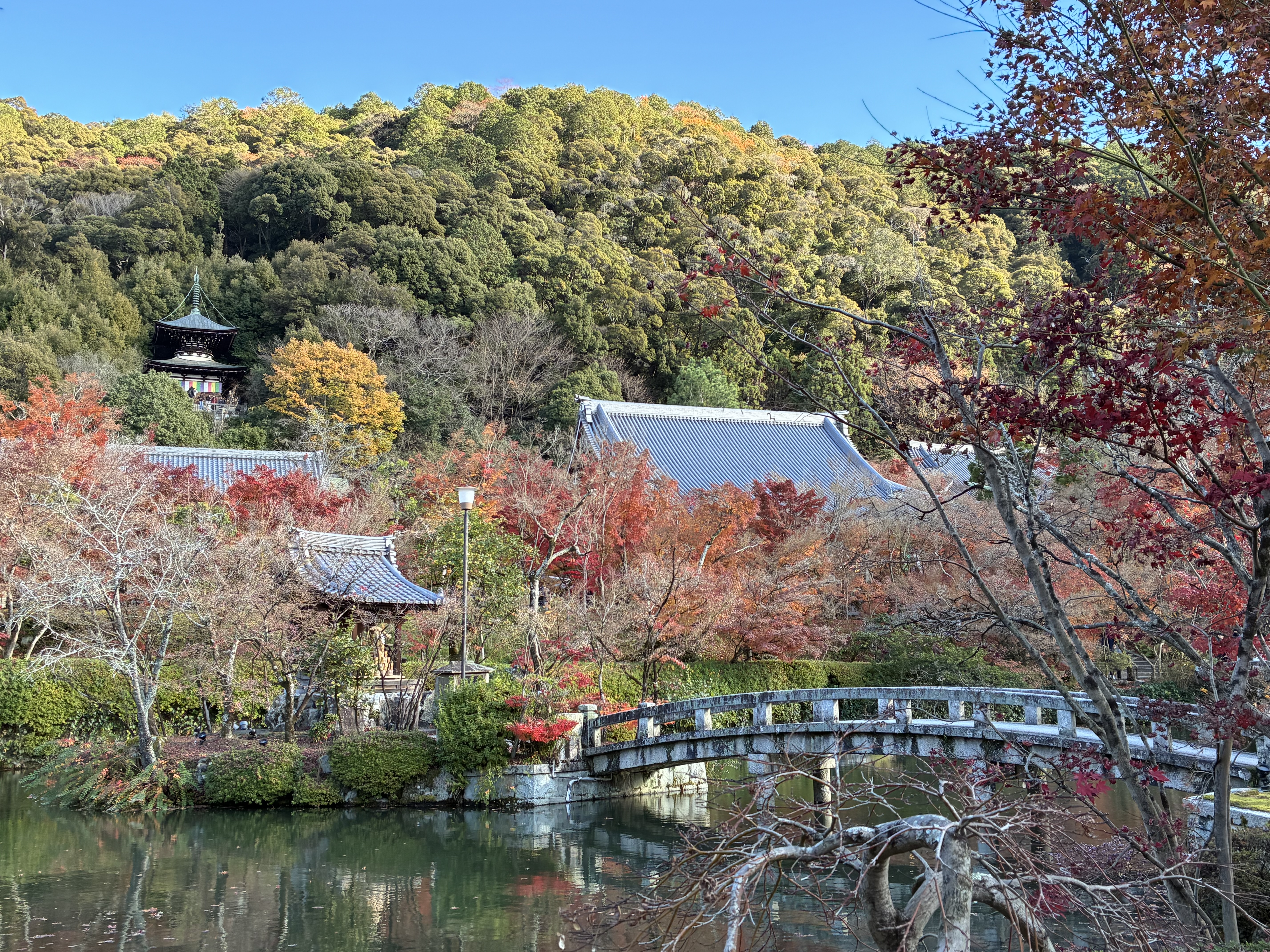 永観堂紅葉